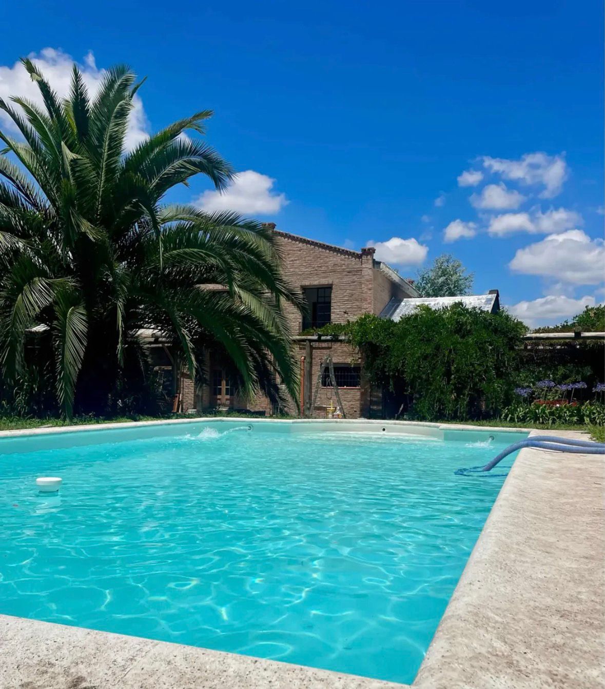 Casa de ladrillo con pileta y palmera en el jardín